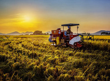 農業(yè)部關于啟動農業(yè)基礎性長期性科技工作的通知